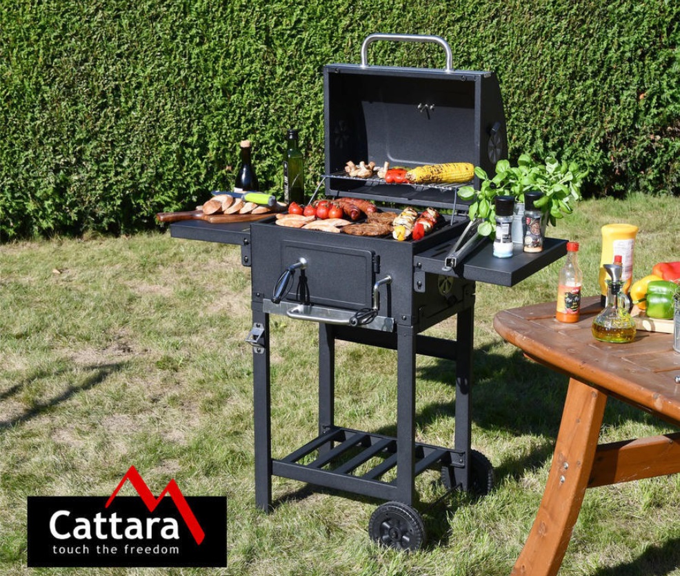 Gril ROYAL PARTNER g